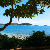 фото из отзыва ID 1878949