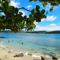 фото из отзыва ID 1878949