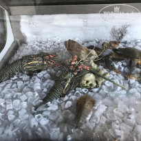 фото из отзыва ID 1879012