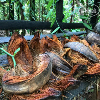 фото из отзыва ID 1879012