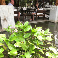 фото из отзыва ID 1879012