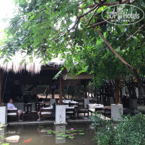 фото из отзыва ID 1879012