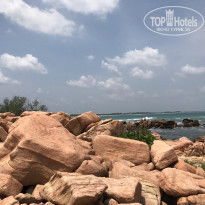 фото из отзыва ID 1879012