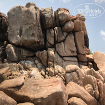 фото из отзыва ID 1879012