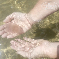 фото из отзыва ID 1879174