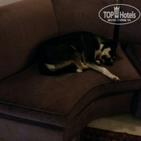 фото из отзыва ID 1879199