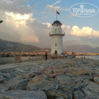 фото из отзыва ID 1879477