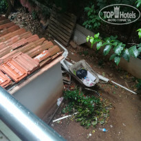 фото из отзыва ID 1879572