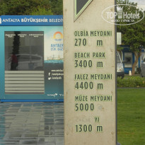 фото из отзыва ID 1879684