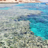 фото из отзыва ID 1879731