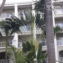 фото из отзыва ID 1878442