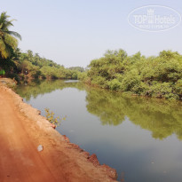 фото из отзыва ID 1876913