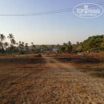 фото из отзыва ID 1876913