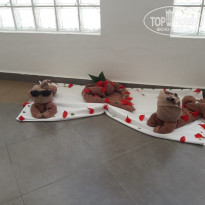 фото из отзыва ID 1878442