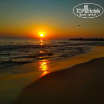 фото из отзыва ID 1876781