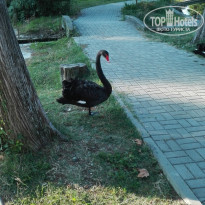 фото из отзыва ID 1872453