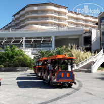 фото из отзыва ID 1878483