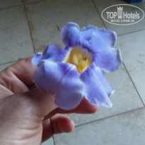 фото из отзыва ID 1877425