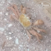 фото из отзыва ID 1877425