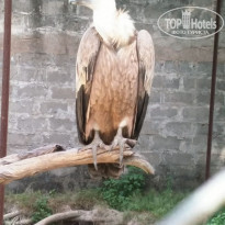 фото из отзыва ID 1877425