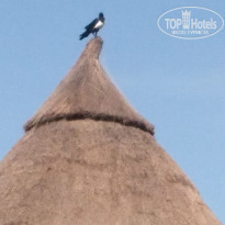 фото из отзыва ID 1877425