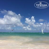 фото из отзыва ID 1880003