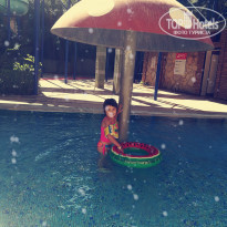 фото из отзыва ID 1880022