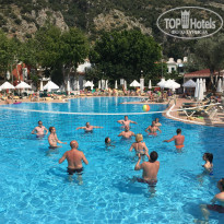 фото из отзыва ID 1880303