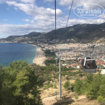 фото из отзыва ID 1880315