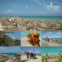 фото из отзыва ID 1880329