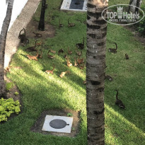 фото из отзыва ID 1880332