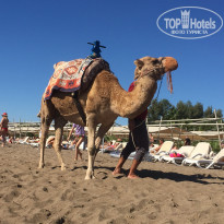 фото из отзыва ID 1880342