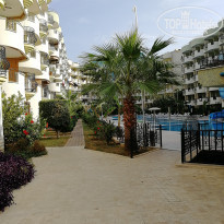 фото из отзыва ID 1880560