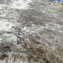 фото из отзыва ID 1880560