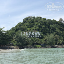 фото из отзыва ID 1880689