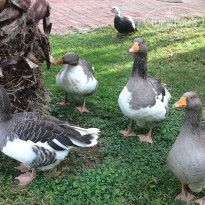 фото из отзыва ID 1880424