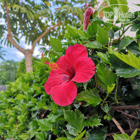 фото из отзыва ID 1880858