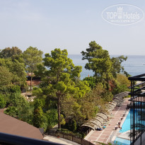 фото из отзыва ID 1880889