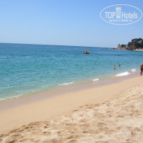 фото из отзыва ID 1881048