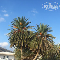 фото из отзыва ID 1881255