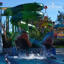 фото из отзыва ID 1881307