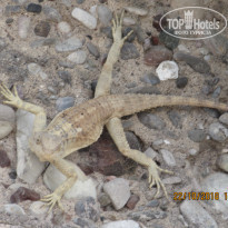 фото из отзыва ID 1881342