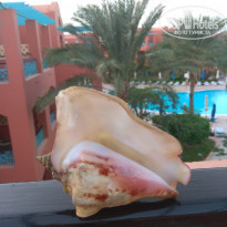 фото из отзыва ID 1881444