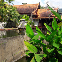 фото из отзыва ID 1881475