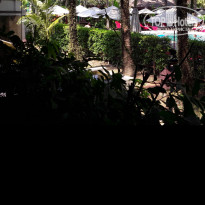 фото из отзыва ID 1881475