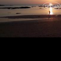 фото из отзыва ID 1881475