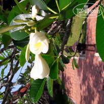 фото из отзыва ID 1881475