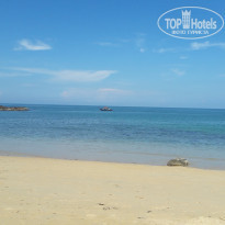 фото из отзыва ID 1881475