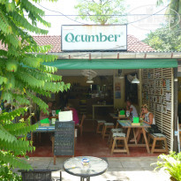 фото из отзыва ID 1881475