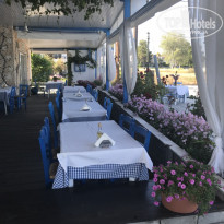 фото из отзыва ID 1881487